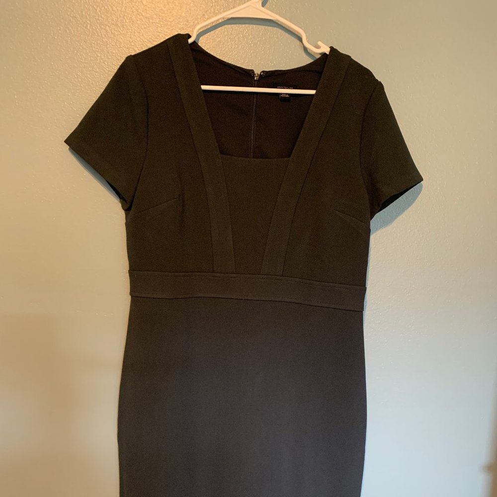 Ann Taylor Sheath Dress